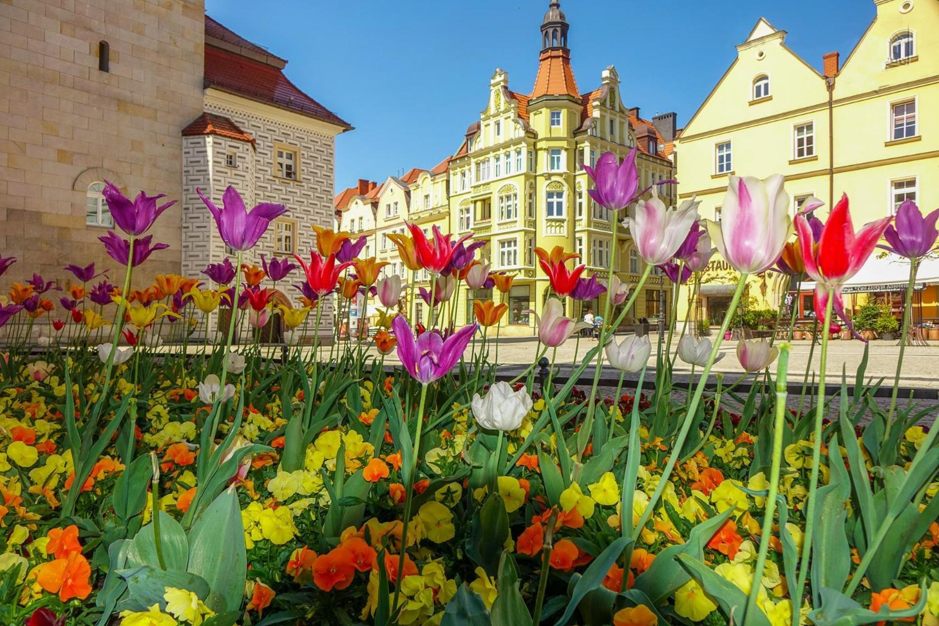 Apartament Przy Starowce - Zoni Boleslawiec  Luaran gambar